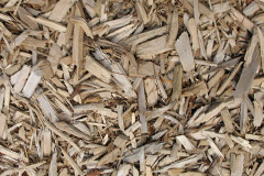 biomass boilers Hewood